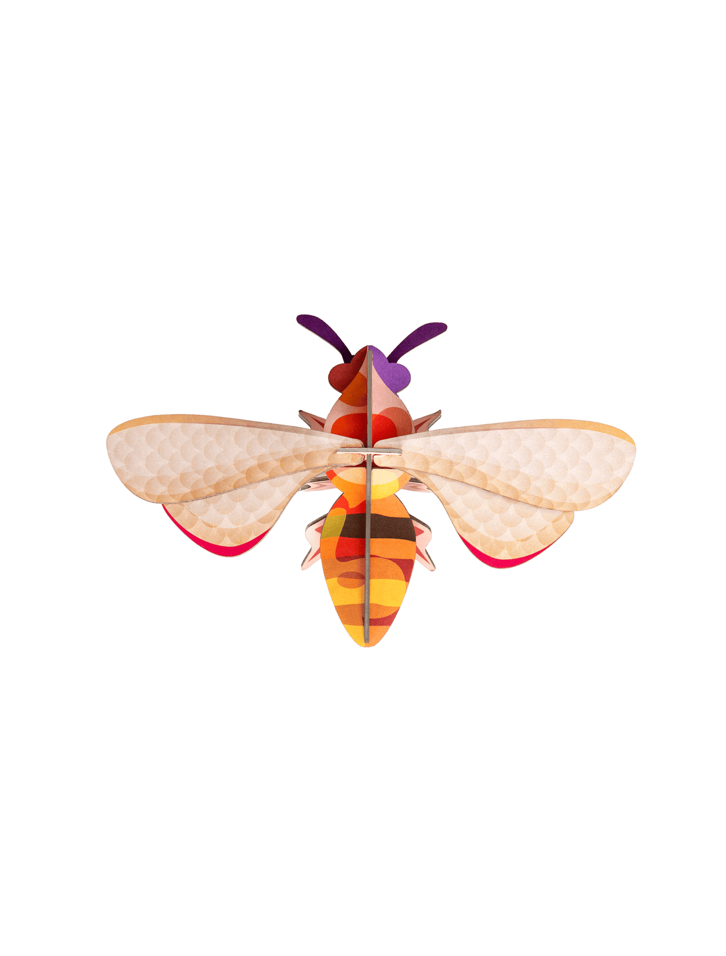 Studio ROOF Honey Bee