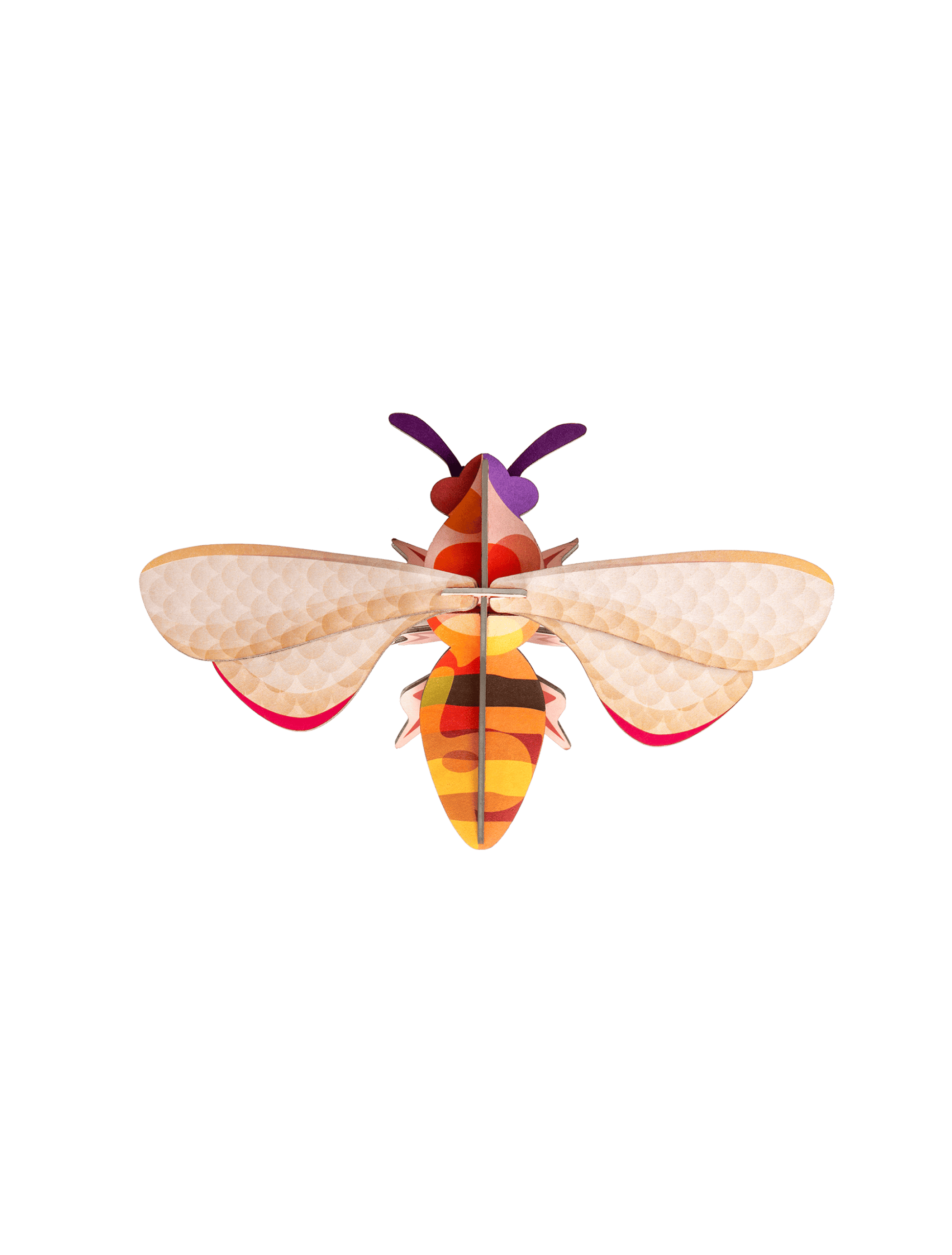 Studio ROOF Honey Bee