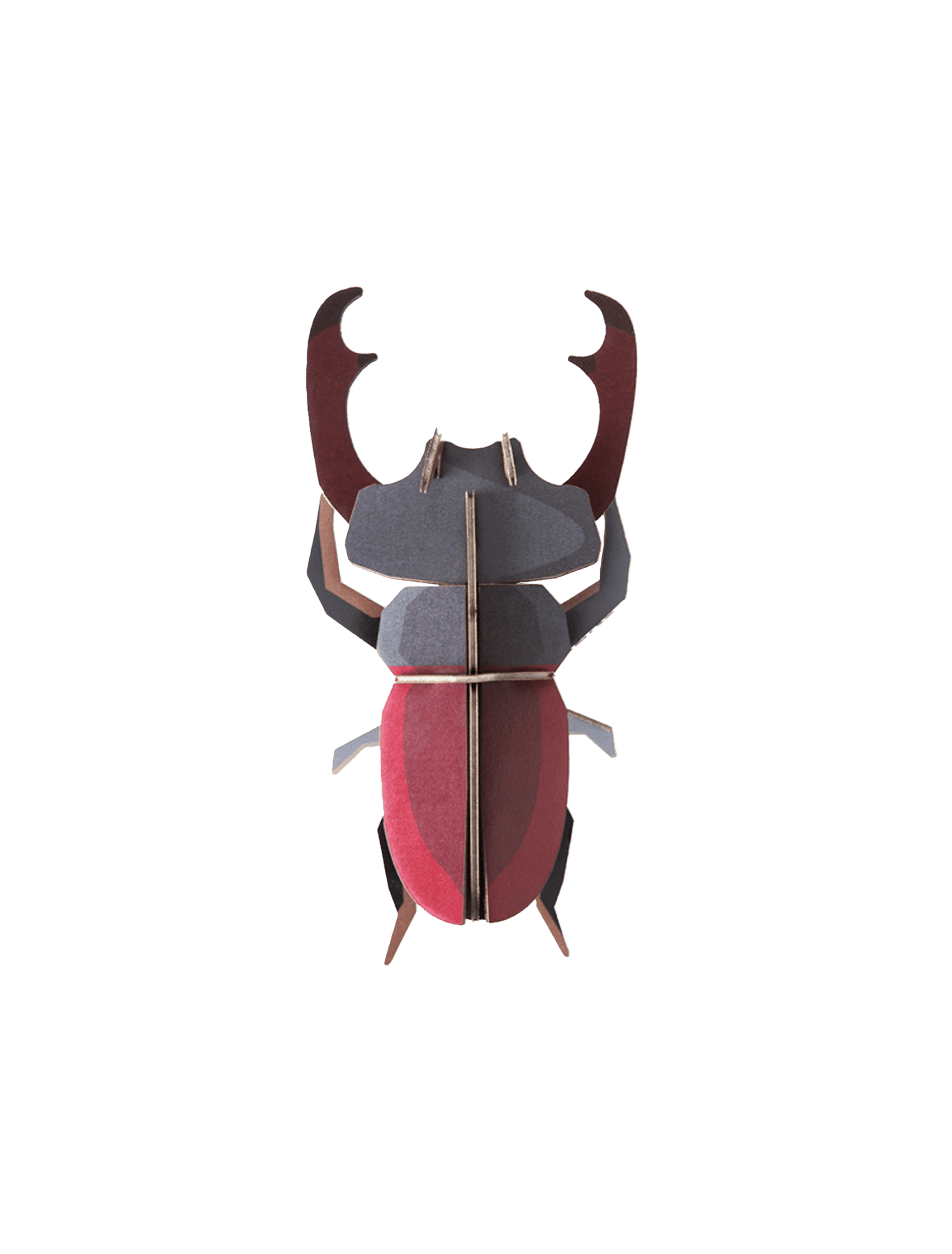 Studio ROOF Stag Beetle