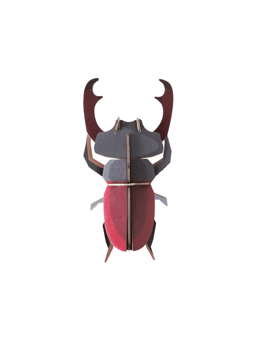 Studio ROOF Stag Beetle