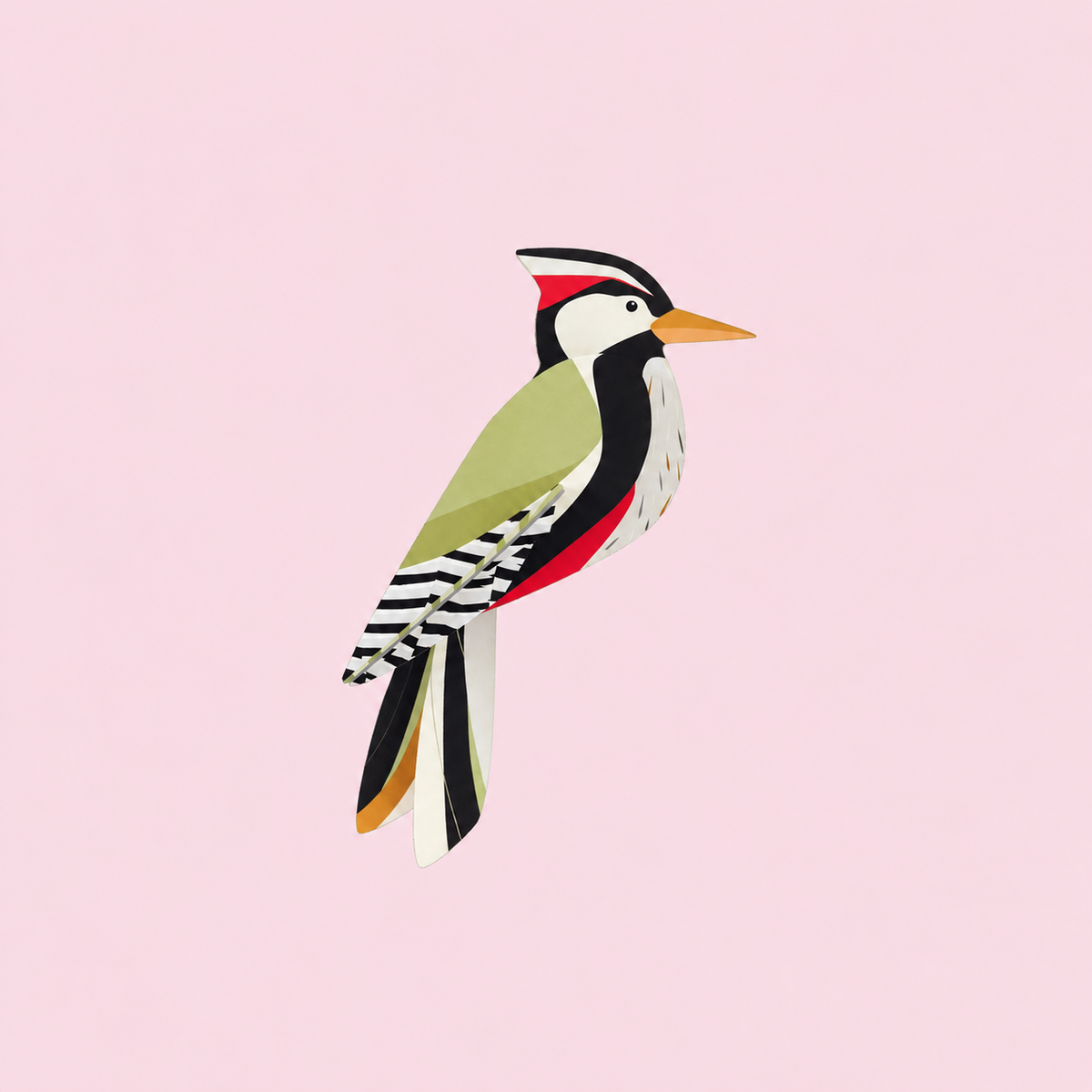 Studio ROOF Woodpecker - productfoto op pastelachtergrond - vierkant met ruimte rondom